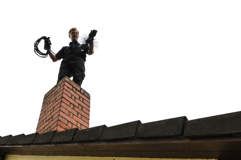 Chimney Pest Removal